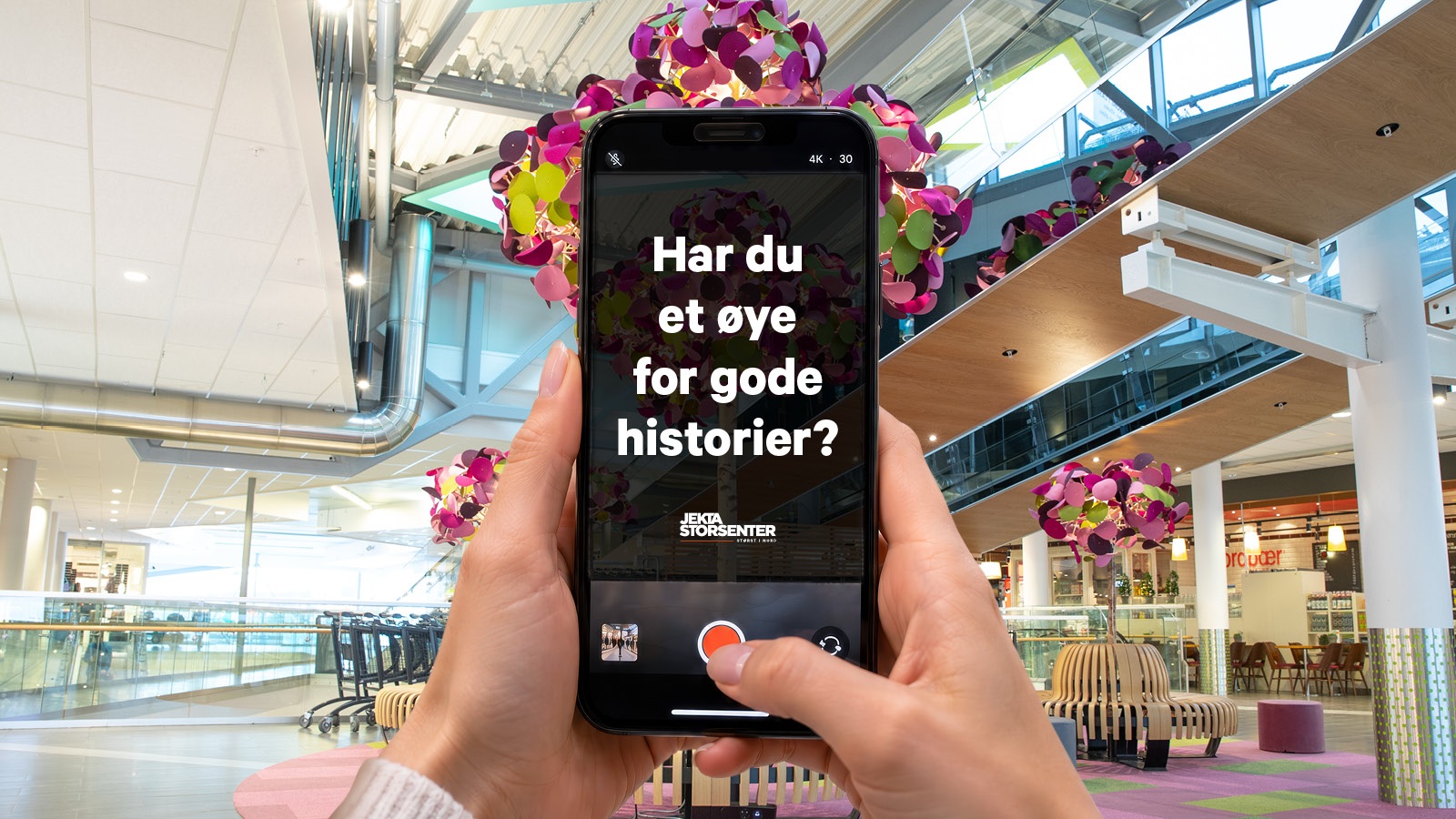 Jekta søker en innholdsprodusent
