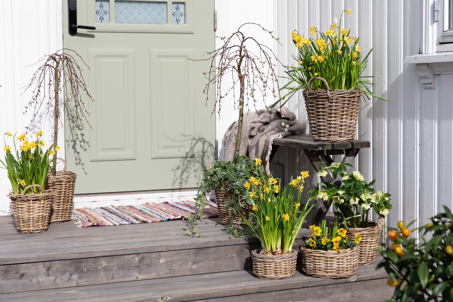 Mester Grønn vårlig