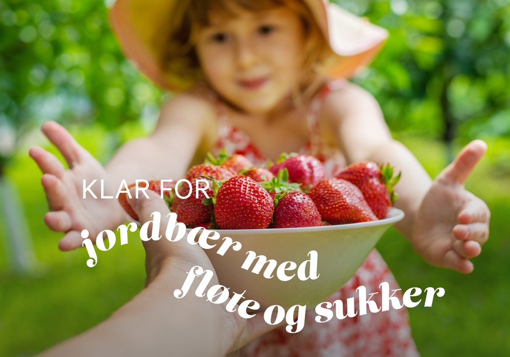 Klar for jordbær med fløte og sukker