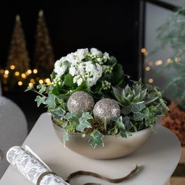 8 Allergivennlig julegruppe 1080x1080