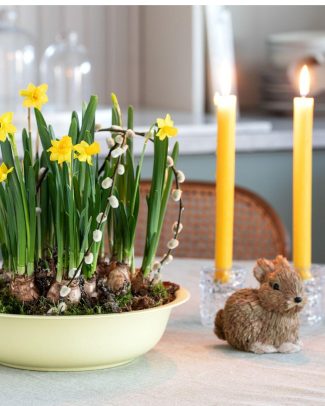 2 Narciss i sinkfat Hampus kanin 1080x1350