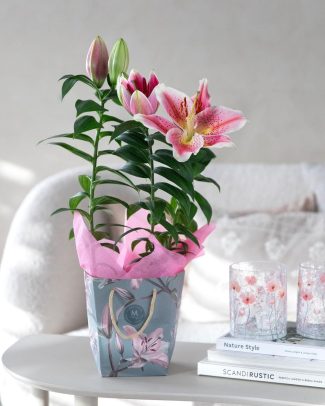 5 Lilje i gavebag 1080x1350